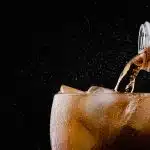 SOFT DRINKS FOUND TO BE THE CRUCIAL LINK BETWEEN OBESITY AND TOOTH WEAR